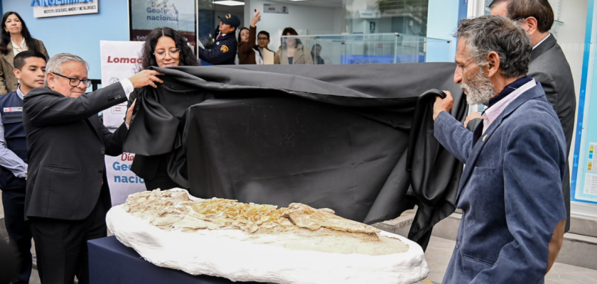 Día Nacional de la Geología (Ingemmet)