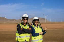 ENGIE Energía Perú, Punta Lomitas