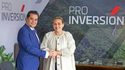 PROINVERSIÓN IPD