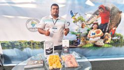 Paiche de Puinahua (PetroTal)