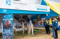 Pan American Silver Huarón en el Rural Tour Huayllay 2025