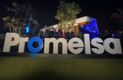 Promelsa