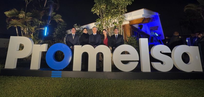 Promelsa