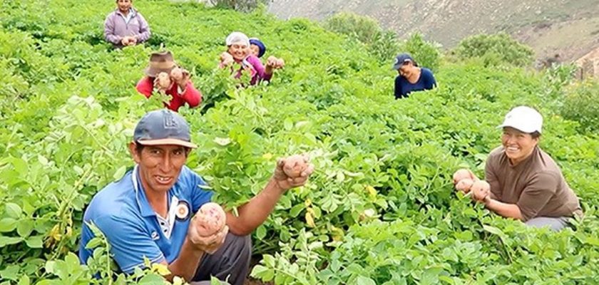Sodexo Perú