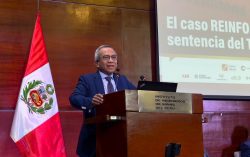 Tribunal Constitucional