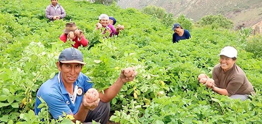 Sodexo Perú