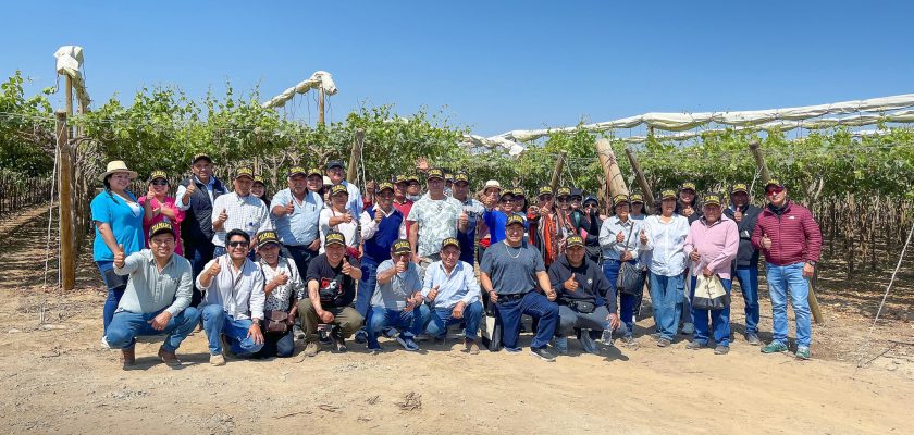 Tecnificando el Agro, una iniciativa de Southern Perú