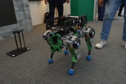 Universidad Católica de Santa María