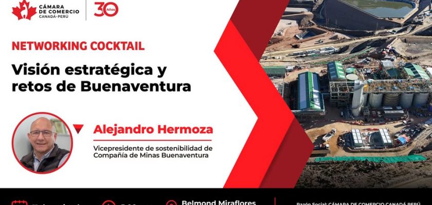 Visión estratégica y retos de Buenaventura