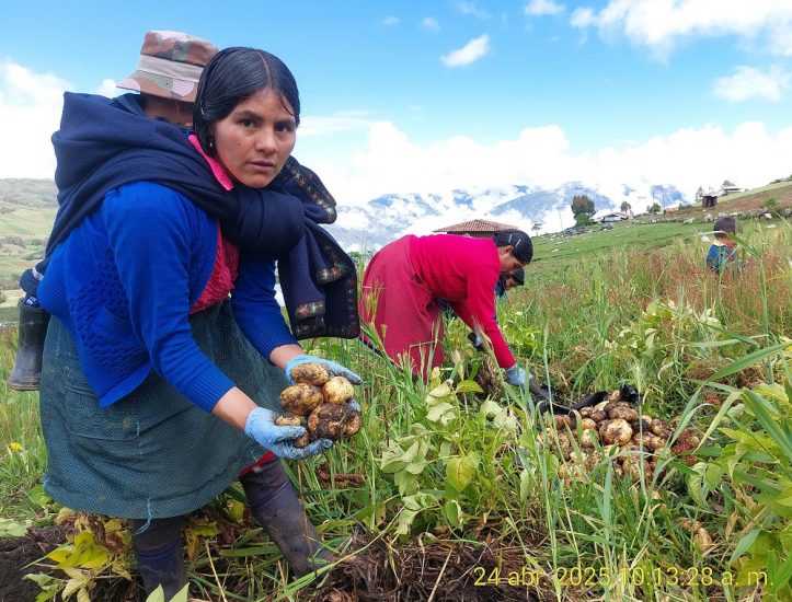 agricultura-regenerativa-Chugay