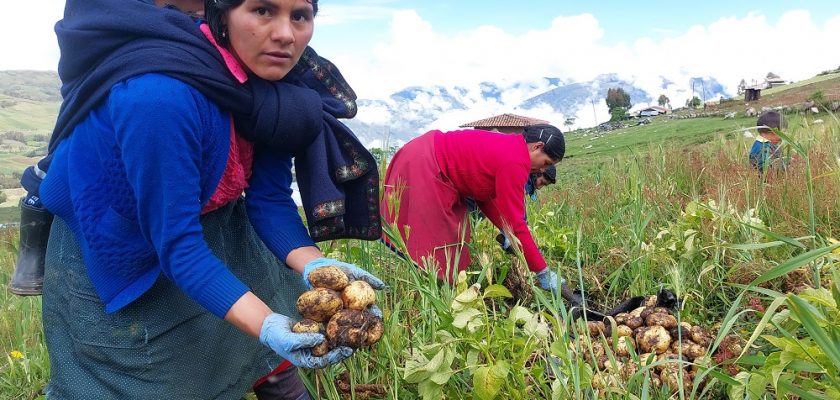 agricultura-regenerativa-Chugay