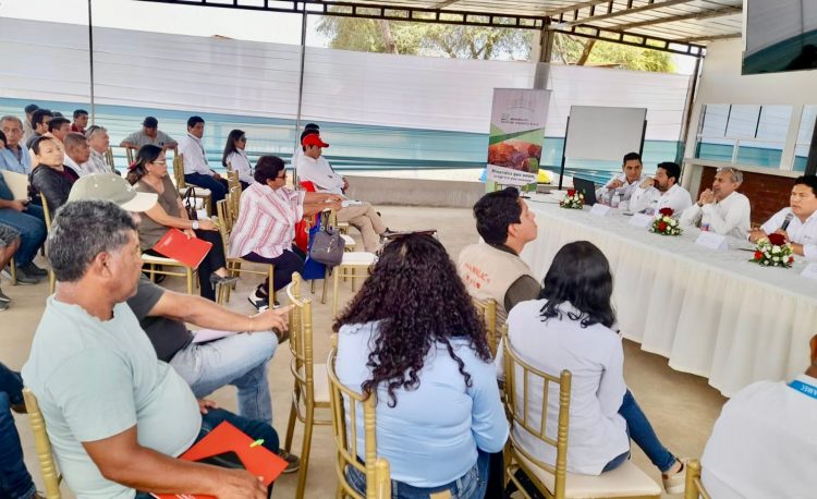 formalización minera en Piura