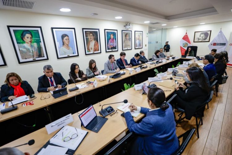 El Ministerio de la Mujer y Poblaciones Vulnerables (MIMP)
