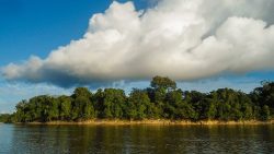 Áreas Naturales Protegidas