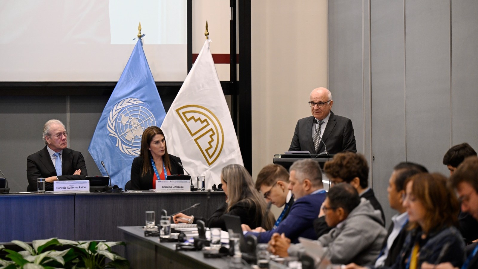 Comité Andino Ad-Hoc de Minería Ilegal