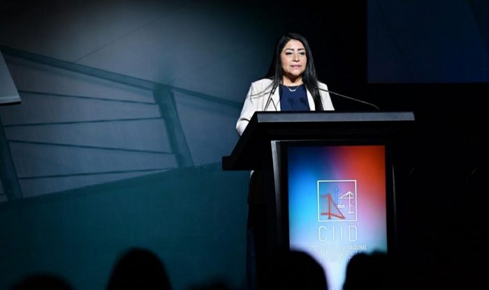 Denisse Miralles (MEF), Proyectos en Activos Perú