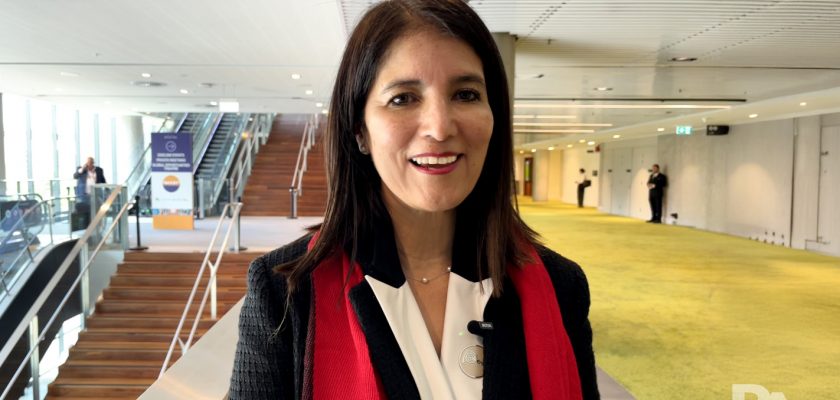 Julia Torreblanca, SNMPE, en IMARC 2025
