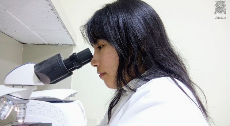 Luz Xiomara Salcedo Castillo UNMSM