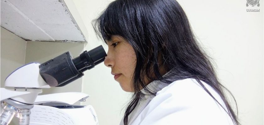 Luz Xiomara Salcedo Castillo UNMSM