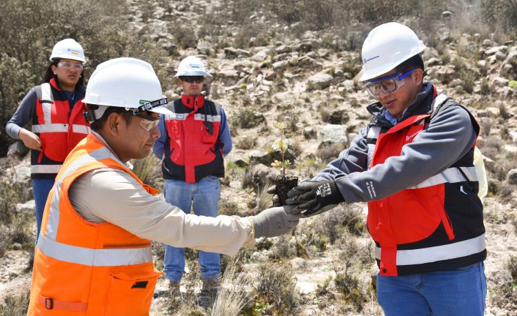 Reporte de Sostenibilidad de Quellaveco