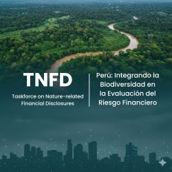 TNFD Taskforce on Nature-related Financial Disclosures