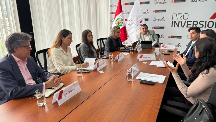 inversiones Perú Suiza