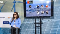 Minam, Romina Caminada Vallejo