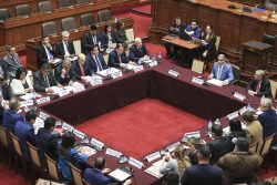 delegación de facultades