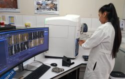 escáner Axioscan 7, Ingemmet