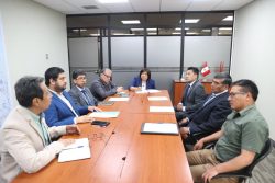 viceministra de Hidrocarburos, Iris Cárdenas