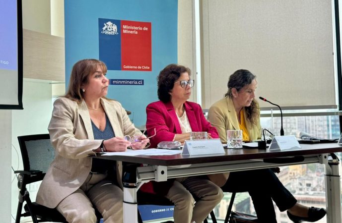 Cochilco, Cartera de inversiones mineras alcanza récord