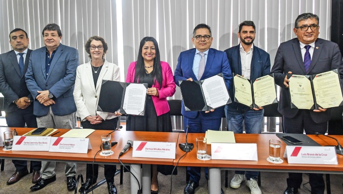 PROINVERSIÓN y MINEM proyectos eléctricos