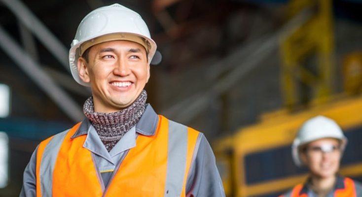 Programa Mentoring del IIMP