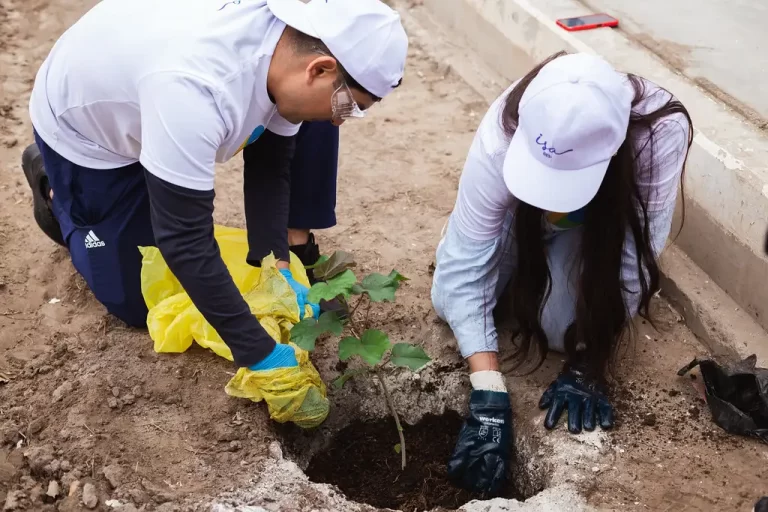 ISA ENERGÍA voluntariado
