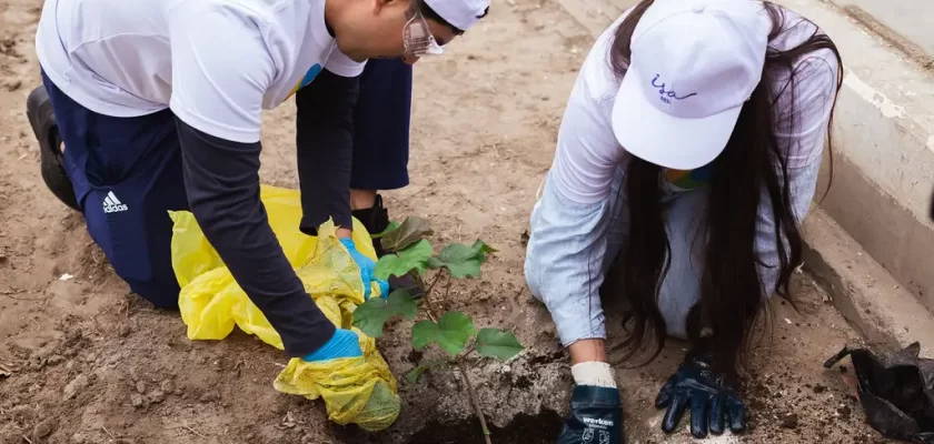 ISA ENERGÍA voluntariado