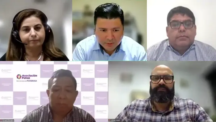 Webinar: La minería, motor del aprendizaje tecnológico multidisciplinario (2)