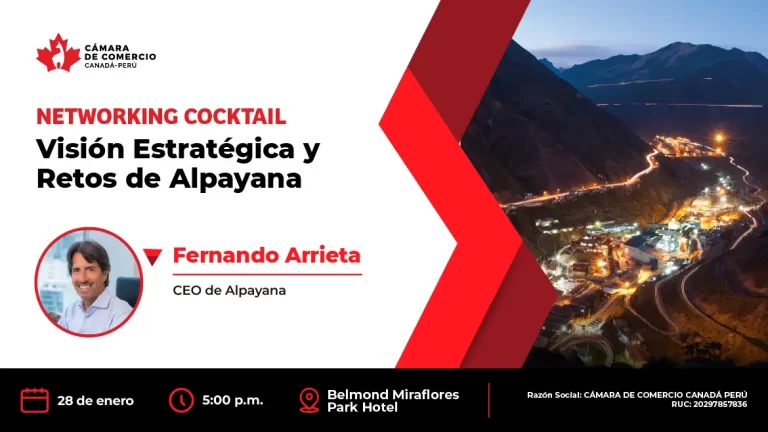 Visión Estratégica y Retos de Alpayana
