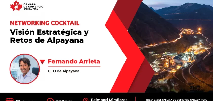 Visión Estratégica y Retos de Alpayana