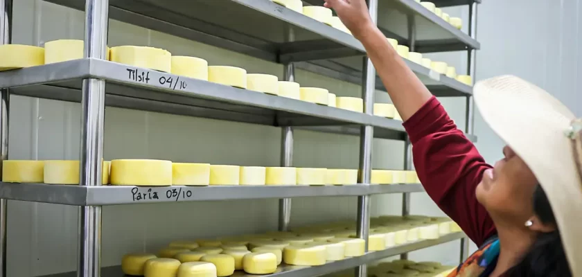 Zafranal Teck producción de leche y derivados