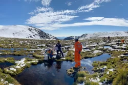 Bear Creek Mining obtiene visto bueno final para el acuerdo con Highlander Silver
