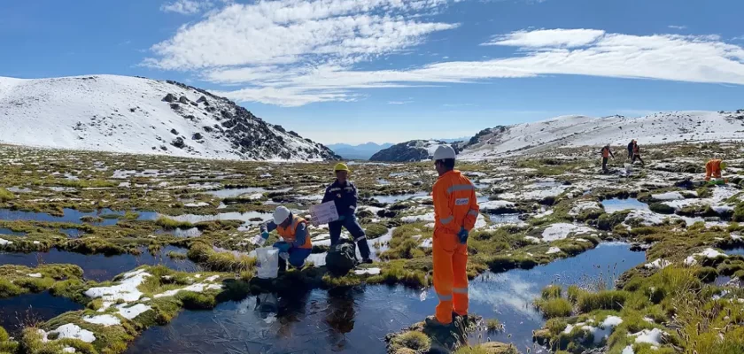 Bear Creek Mining Corporation