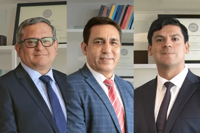 Ejecutivos de Pluz Energía