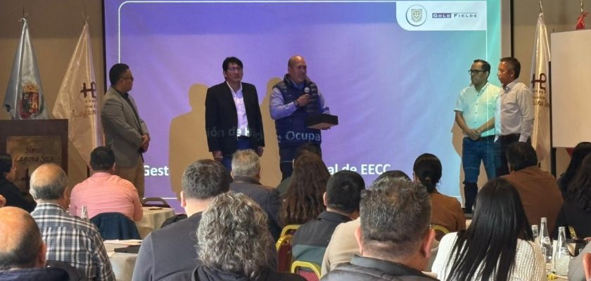 Gold Fields, Comité SSO