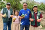 Huarmey agroexportación mango kent