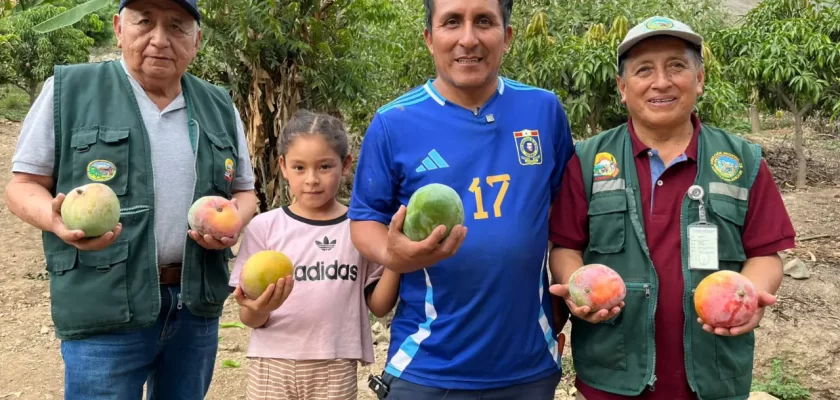 Huarmey agroexportación mango kent