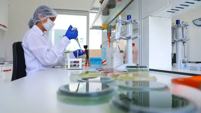 Programa “Verano de la Ciencia y Tecnología 2026”