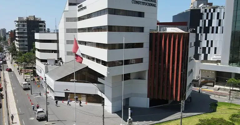 Tribunal Constitucional