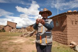 MINEM invierte más de S/ 460 millones para cerrar brechas eléctricas en Puno