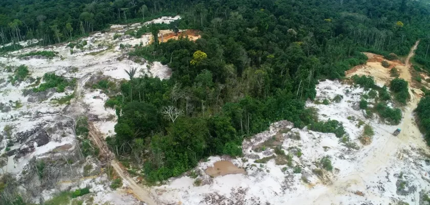 restauración de varillales