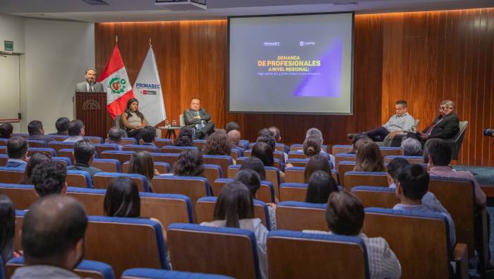 Demanda de profesionales a nivel regional